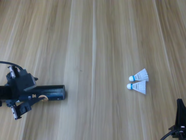 Shuttlecock insertion, chronological frame 1 of 6 from Figure 12.