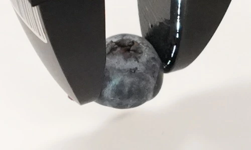 Successful grasp with TacPAC