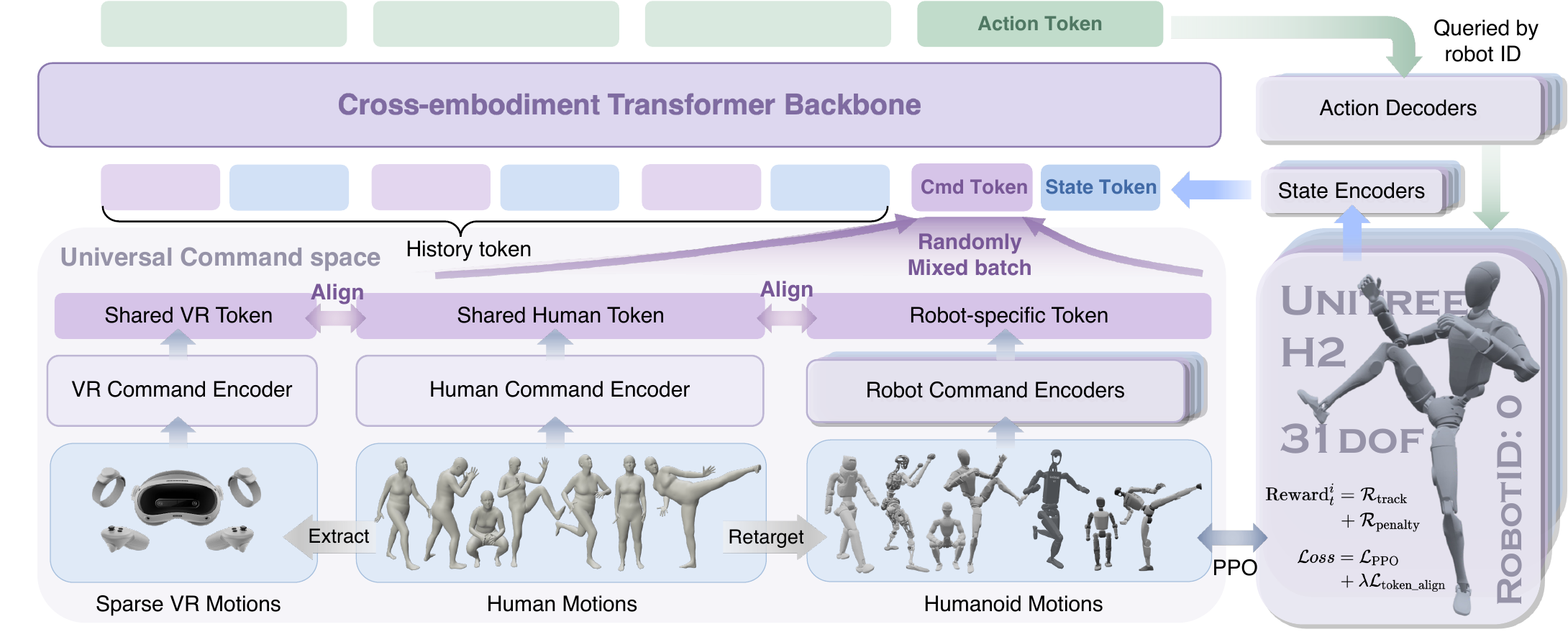 X-WBC architecture with command encoders, shared Transformer backbone, and robot-specific decoders